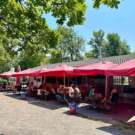 Seeparkvilla - Wohlfuehlen Am See Und Im Gruenen Bregenz Exterior foto